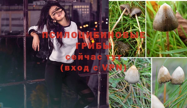 MDMA Premium VHQ Бугульма