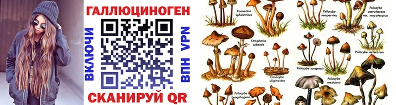 нарко площадка формула  Неман  Галлюциногенные грибы GOLDEN TEACHER 