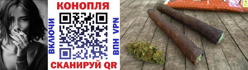 Конопля OG Kush  Неман 